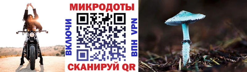 Псилоцибиновые грибы GOLDEN TEACHER  Курильск 